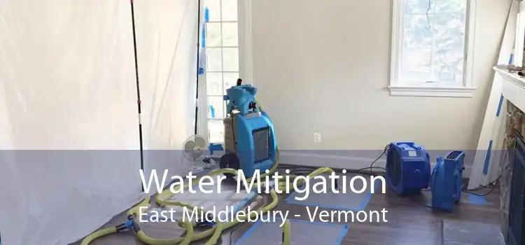 Water Mitigation East Middlebury - Vermont