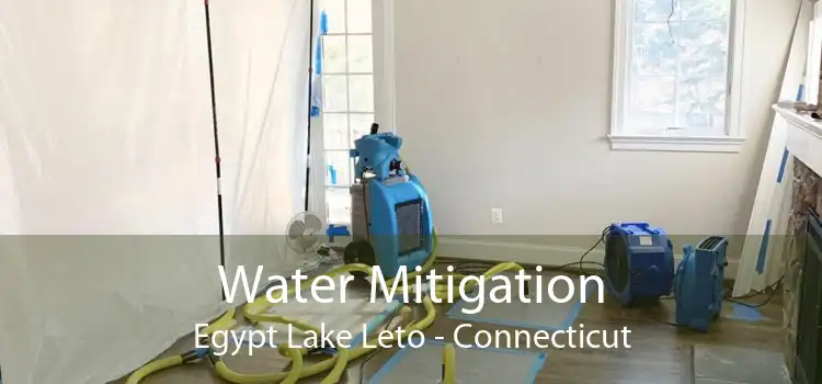 Water Mitigation Egypt Lake Leto - Connecticut