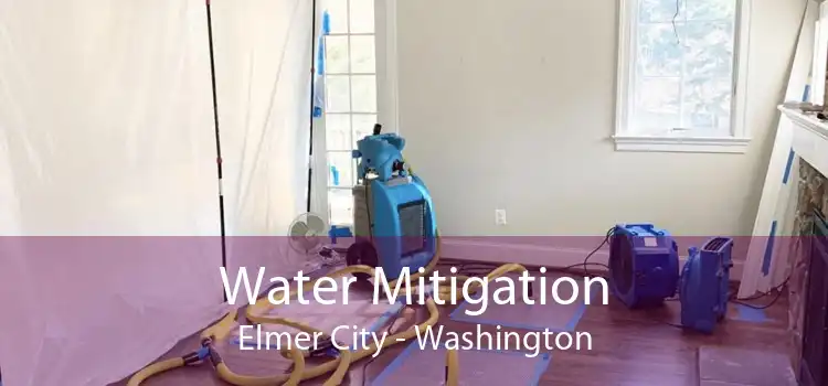 Water Mitigation Elmer City - Washington