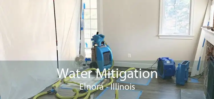 Water Mitigation Elnora - Illinois