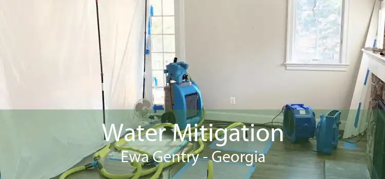 Water Mitigation Ewa Gentry - Georgia