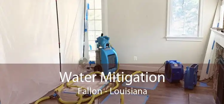 Water Mitigation Fallon - Louisiana