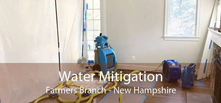 Water Mitigation Farmers Branch - New Hampshire