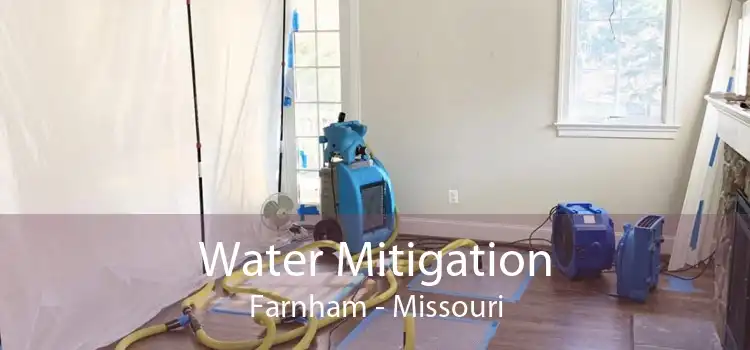 Water Mitigation Farnham - Missouri