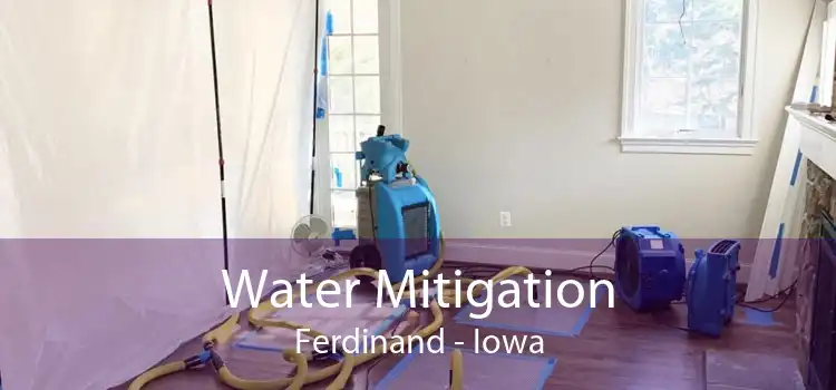 Water Mitigation Ferdinand - Iowa