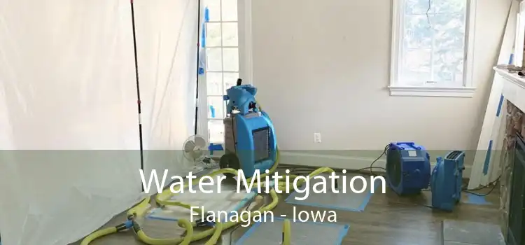 Water Mitigation Flanagan - Iowa