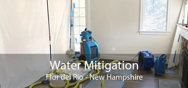 Water Mitigation Flor del Rio - New Hampshire
