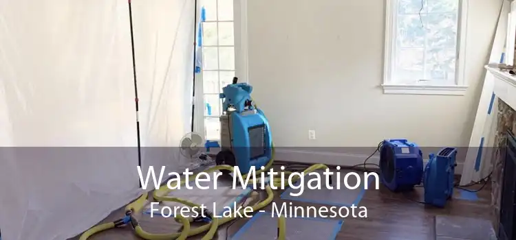 Water Mitigation Forest Lake - Minnesota