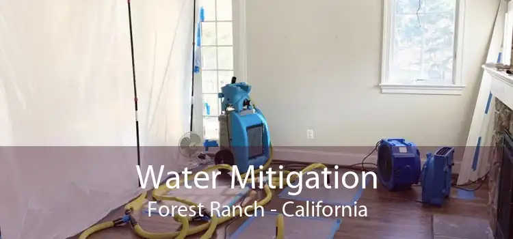 Water Mitigation Forest Ranch - California