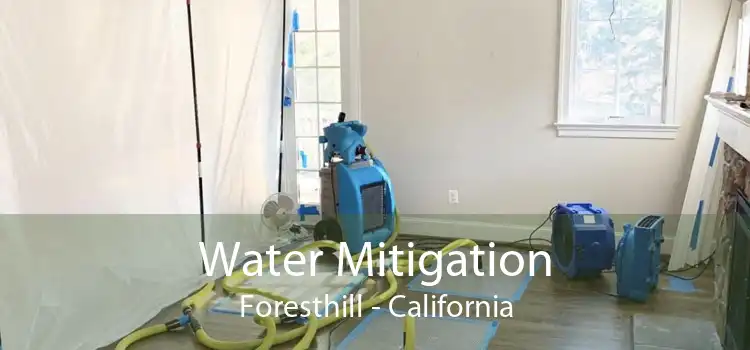 Water Mitigation Foresthill - California