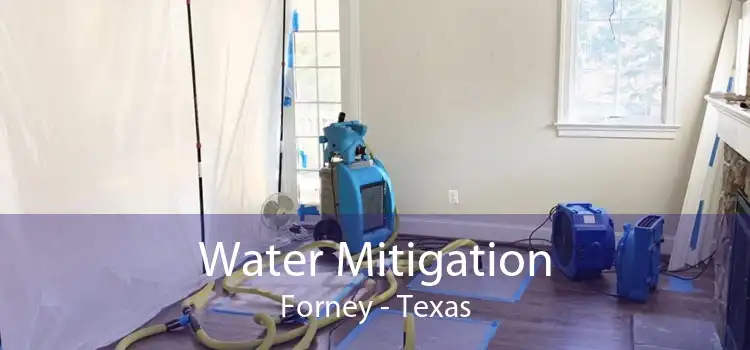 Water Mitigation Forney - Texas