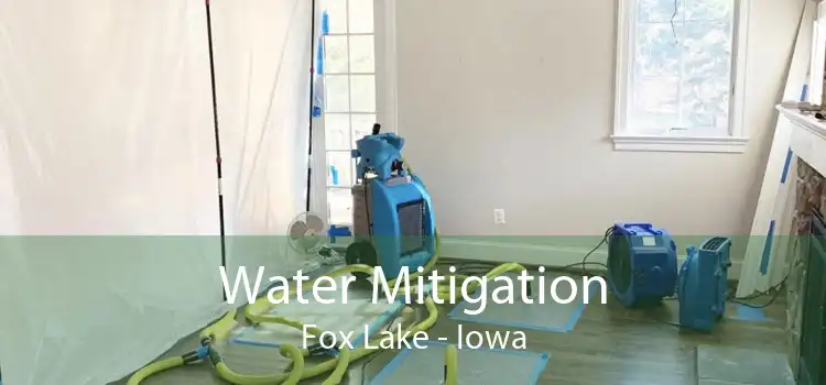 Water Mitigation Fox Lake - Iowa