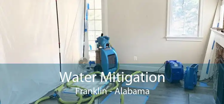 Water Mitigation Franklin - Alabama