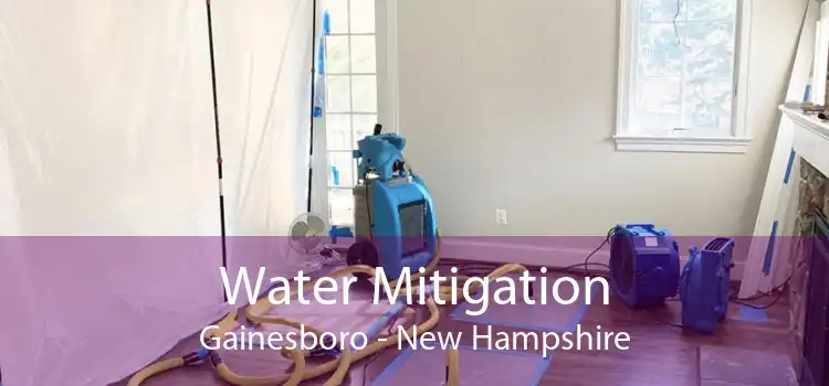 Water Mitigation Gainesboro - New Hampshire