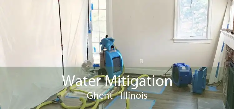 Water Mitigation Ghent - Illinois