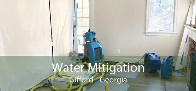 Water Mitigation Gifford - Georgia