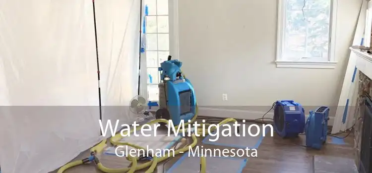Water Mitigation Glenham - Minnesota