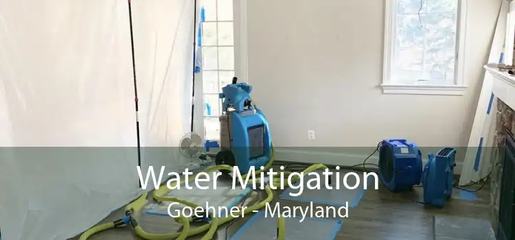 Water Mitigation Goehner - Maryland