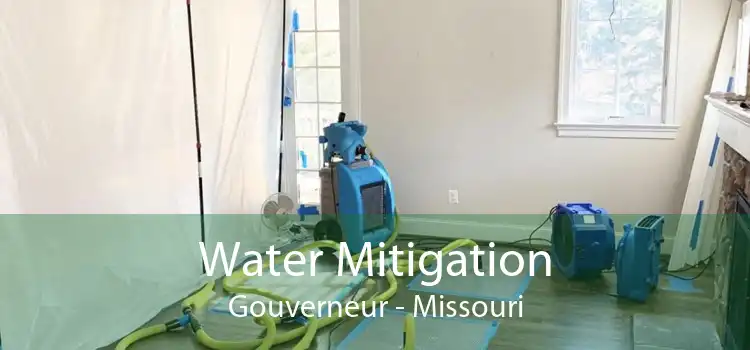 Water Mitigation Gouverneur - Missouri
