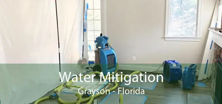 Water Mitigation Grayson - Florida