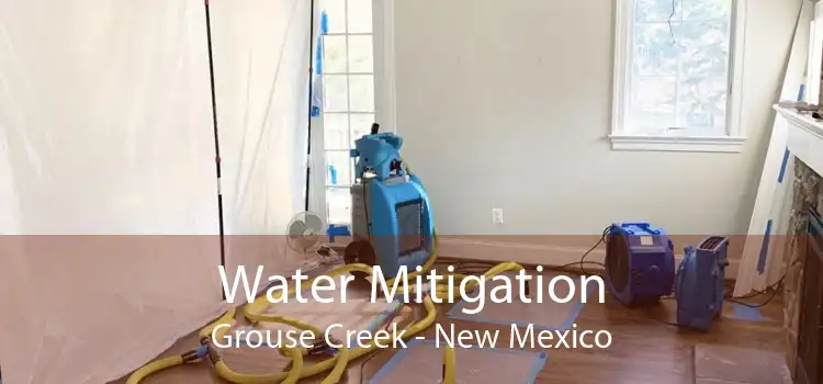 Water Mitigation Grouse Creek - New Mexico