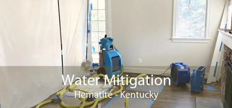 Water Mitigation Hematite - Kentucky