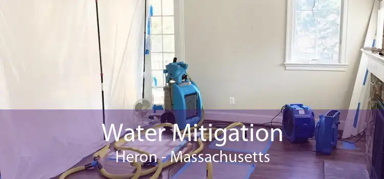 Water Mitigation Heron - Massachusetts