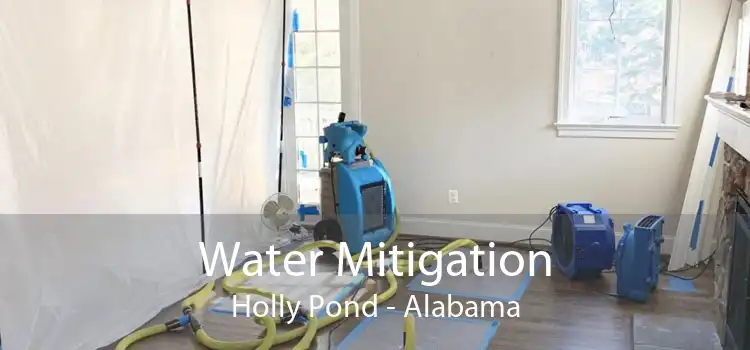 Water Mitigation Holly Pond - Alabama