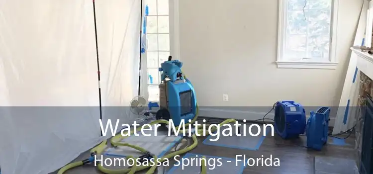 Water Mitigation Homosassa Springs - Florida