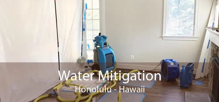 Water Mitigation Honolulu - Hawaii