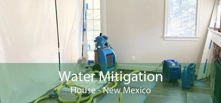 Water Mitigation House - New Mexico
