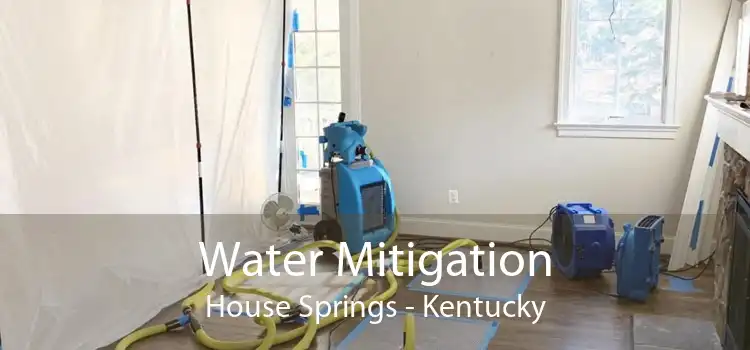Water Mitigation House Springs - Kentucky