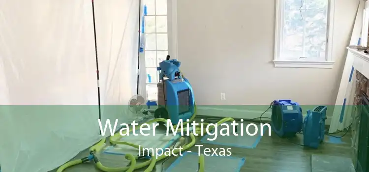 Water Mitigation Impact - Texas