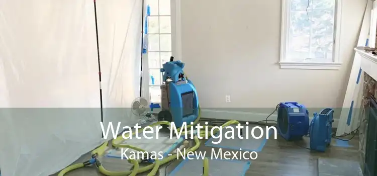 Water Mitigation Kamas - New Mexico