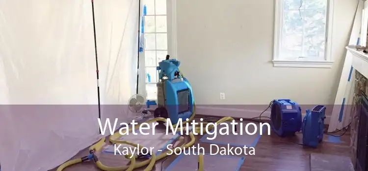 Water Mitigation Kaylor - South Dakota