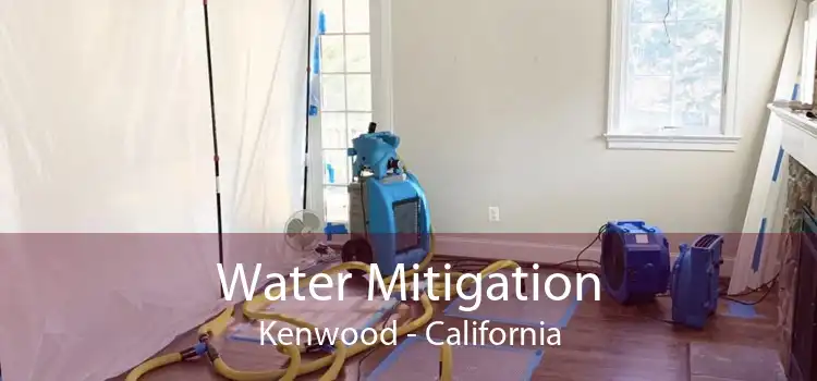 Water Mitigation Kenwood - California