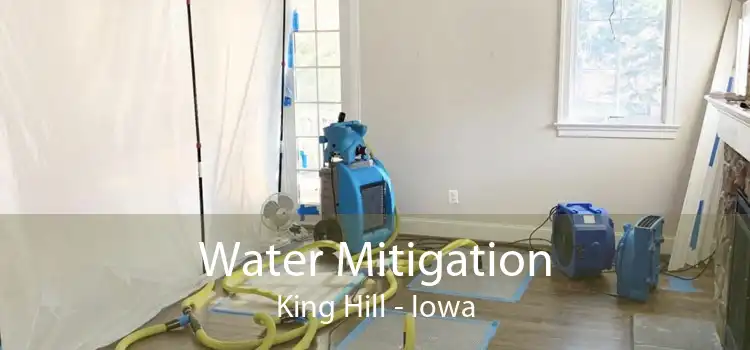Water Mitigation King Hill - Iowa