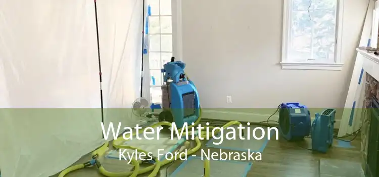 Water Mitigation Kyles Ford - Nebraska