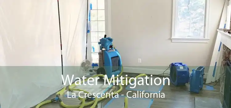 Water Mitigation La Crescenta - California