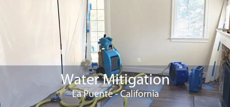 Water Mitigation La Puente - California
