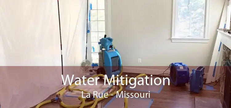 Water Mitigation La Rue - Missouri
