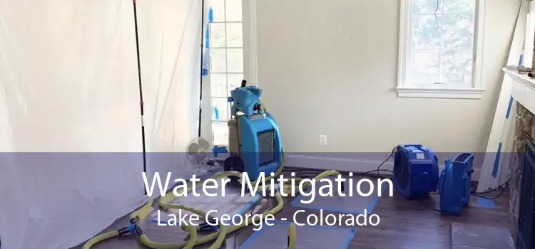 Water Mitigation Lake George - Colorado