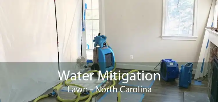 Water Mitigation Lawn - North Carolina