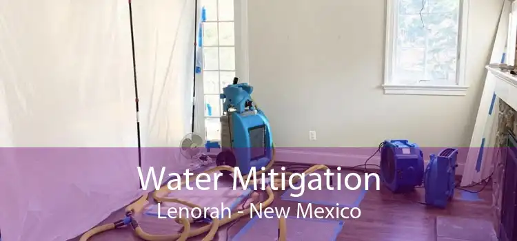 Water Mitigation Lenorah - New Mexico