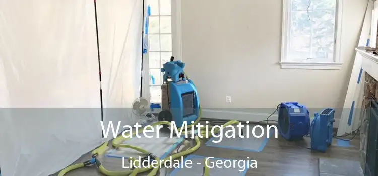 Water Mitigation Lidderdale - Georgia