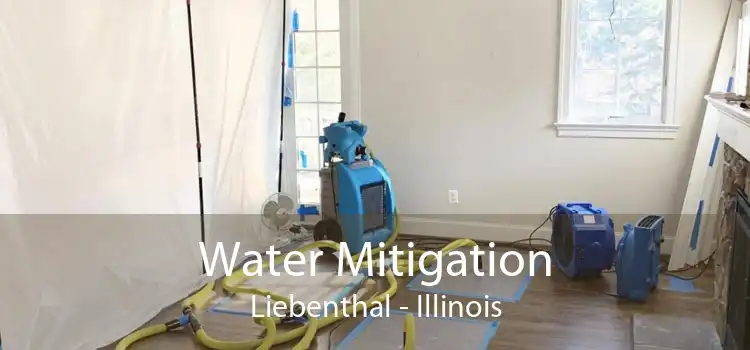 Water Mitigation Liebenthal - Illinois