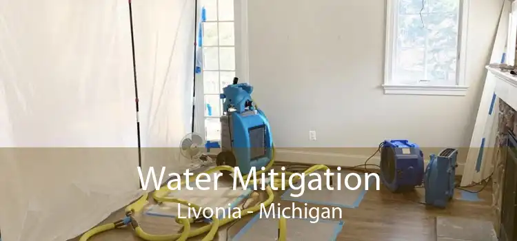 Water Mitigation Livonia - Michigan