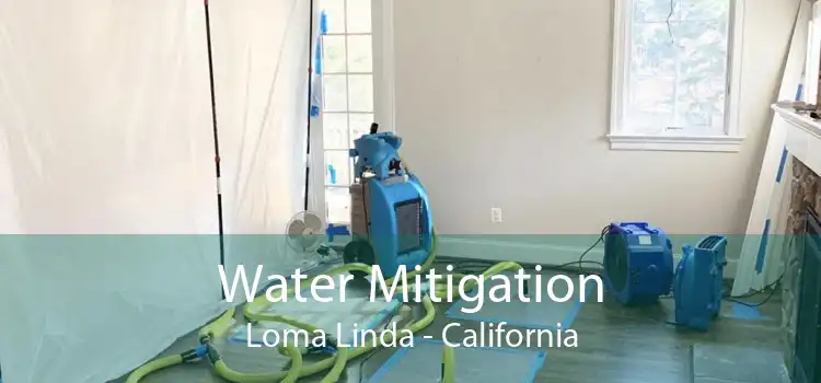 Water Mitigation Loma Linda - California