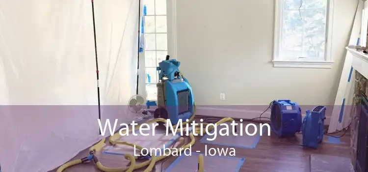 Water Mitigation Lombard - Iowa