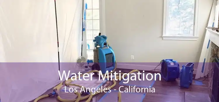 Water Mitigation Los Angeles - California